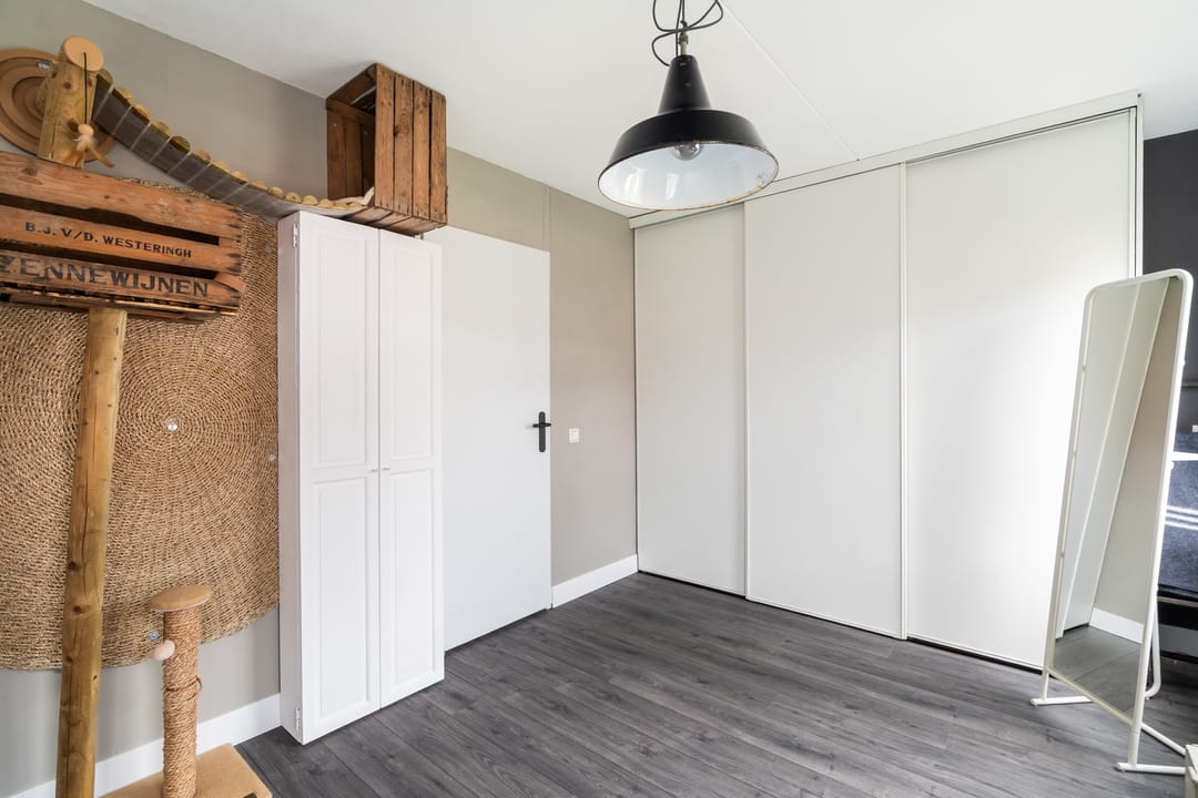 Foto 43 van Koraalzwam 21