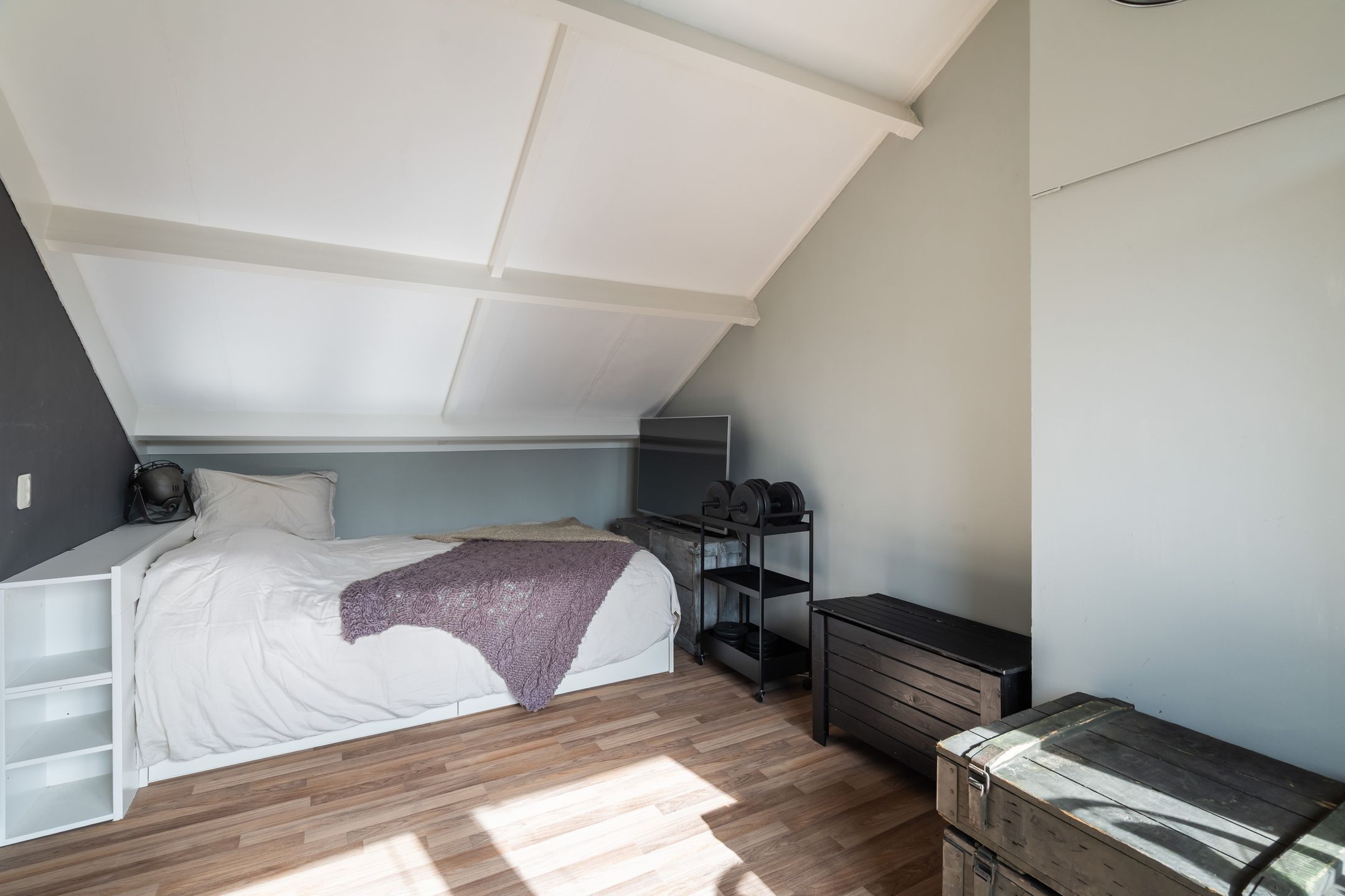 Foto 51 van Koraalzwam 21