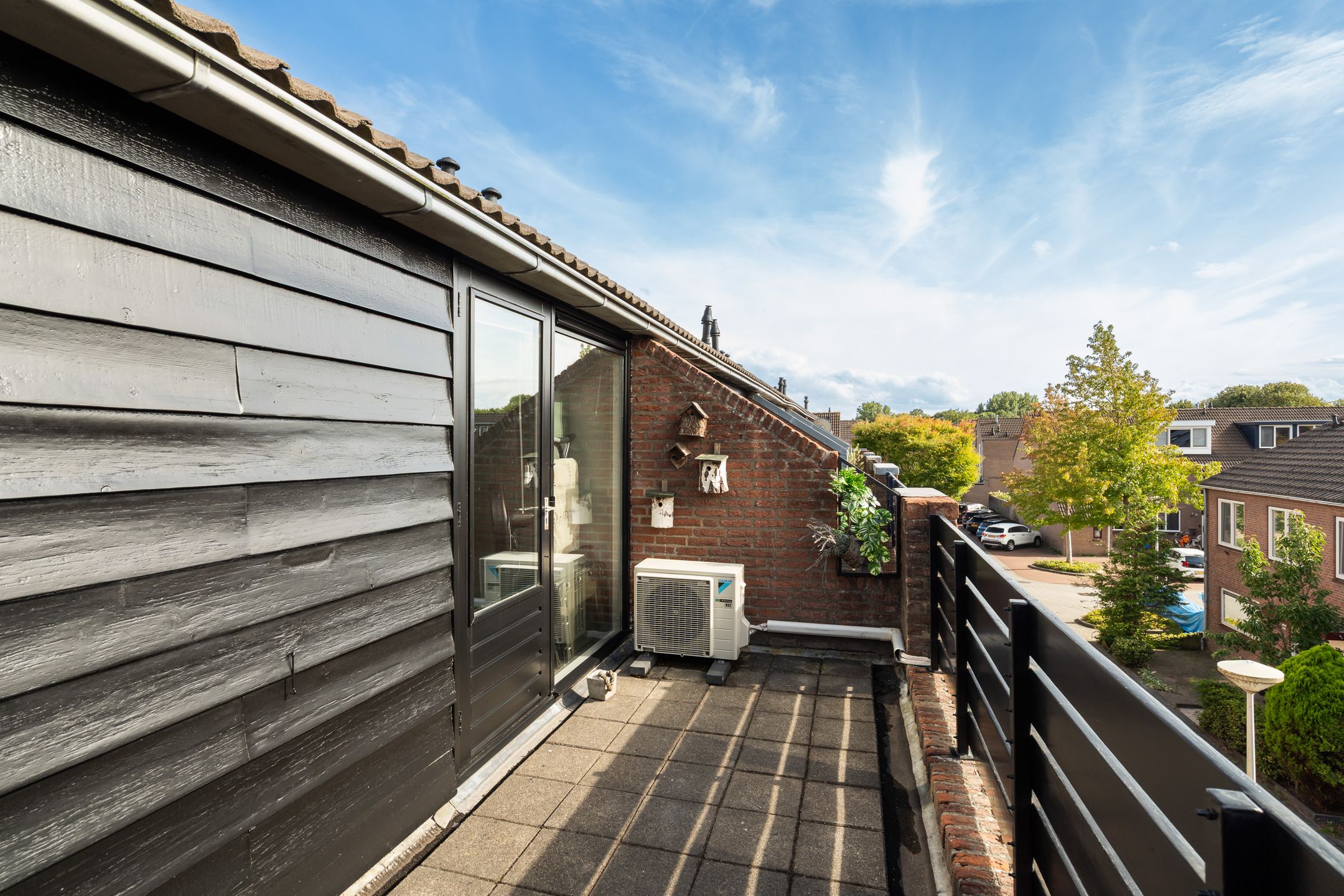 Foto 54 van Koraalzwam 21