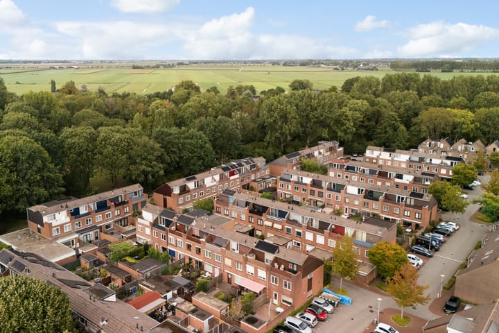 Foto 55 van Koraalzwam 21