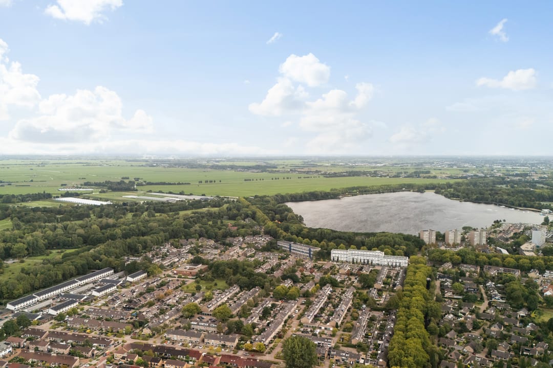 Foto 56 van Koraalzwam 21