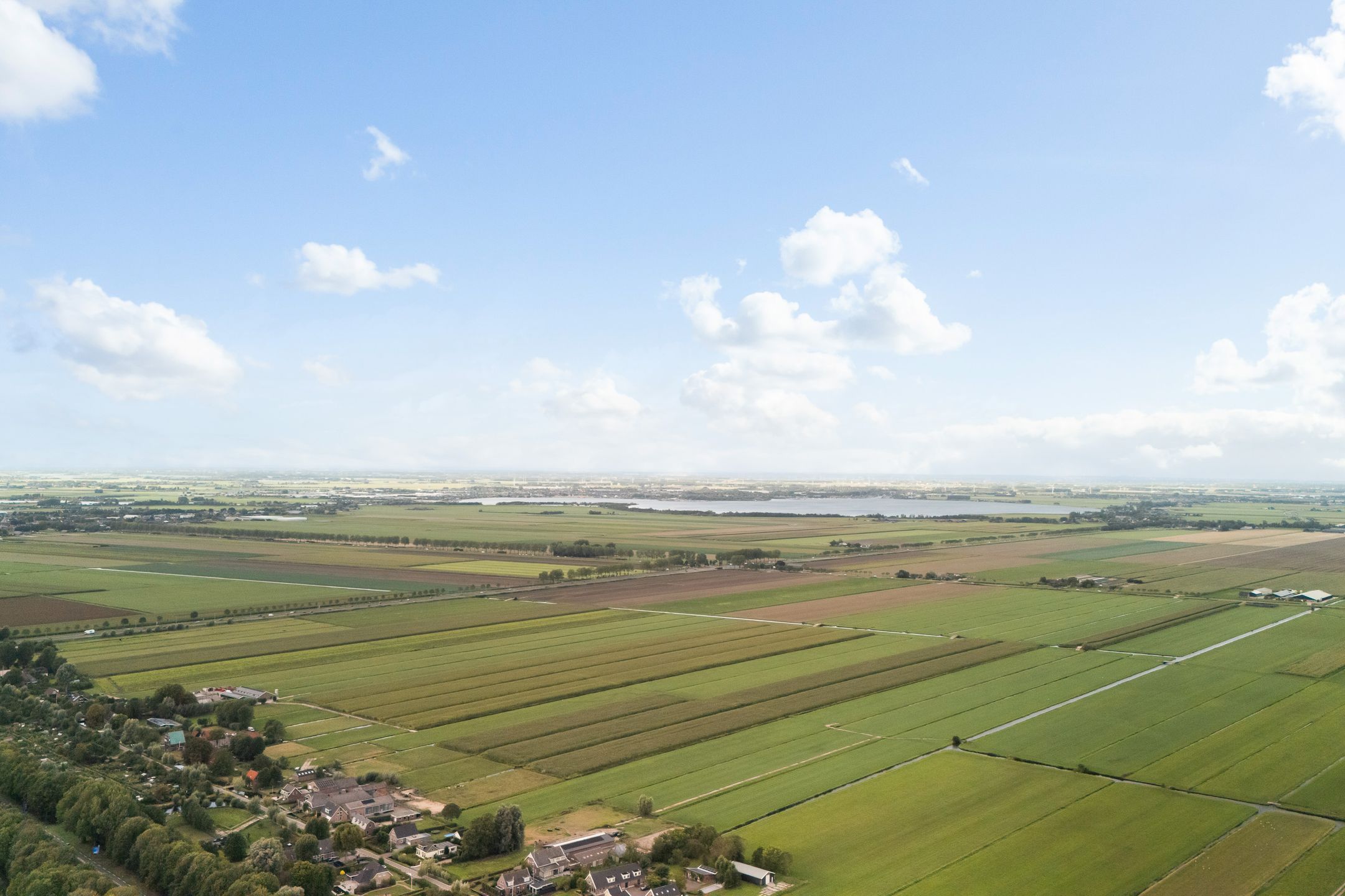 Foto 57 van Koraalzwam 21