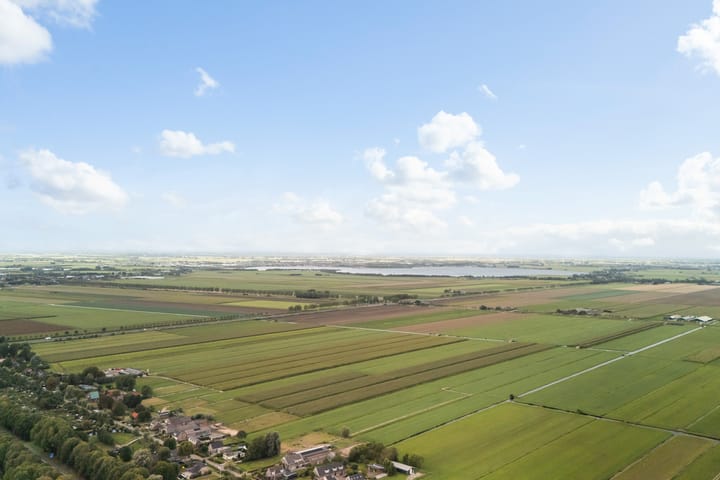 Foto 57 van Koraalzwam 21