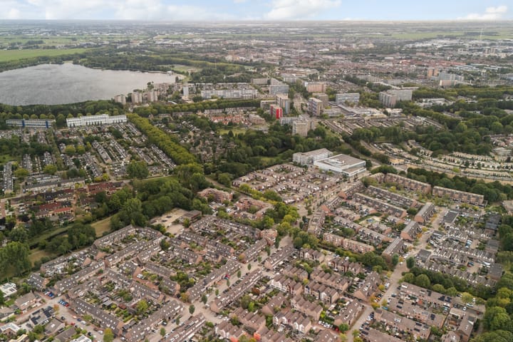 Foto 58 van Koraalzwam 21