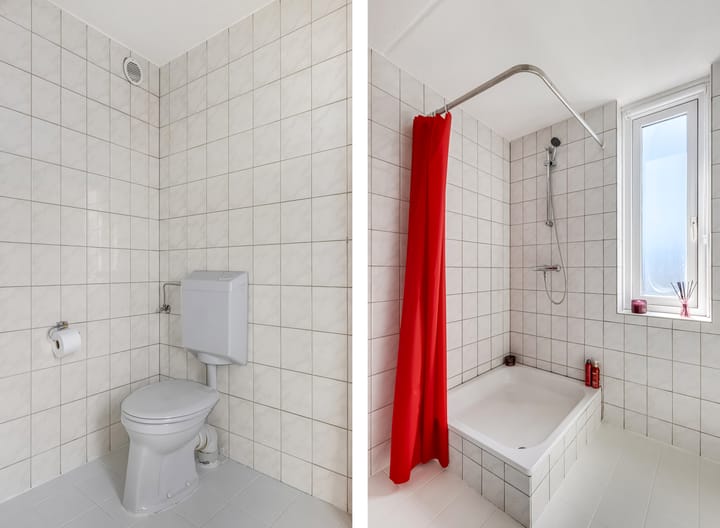 Photo 24 of Duifkruid 37