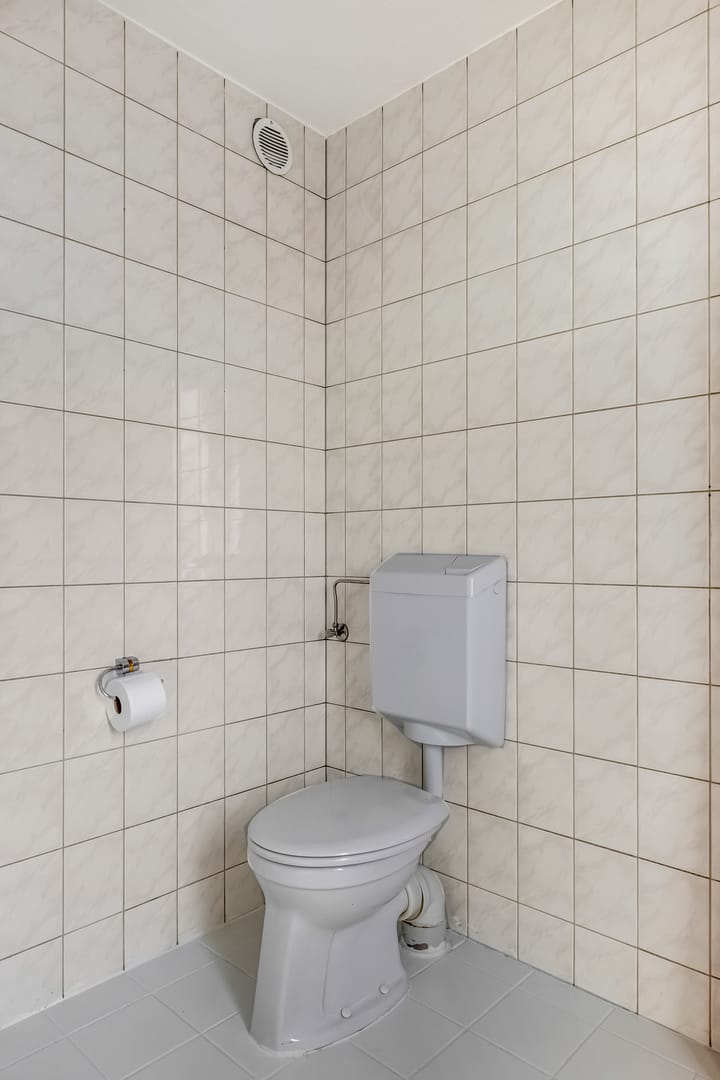 Photo 26 of Duifkruid 37