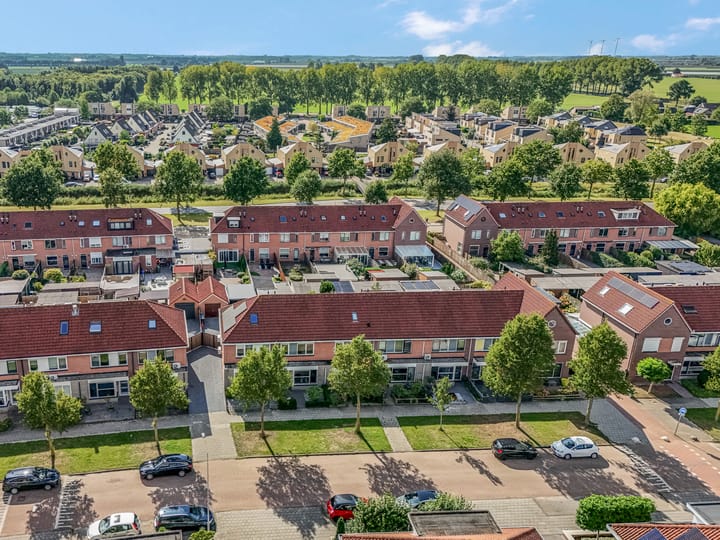 Photo 1 of Duifkruid 37