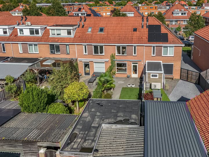 Photo 39 of Duifkruid 37