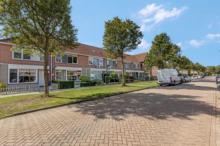 Photo 42 of Duifkruid 37