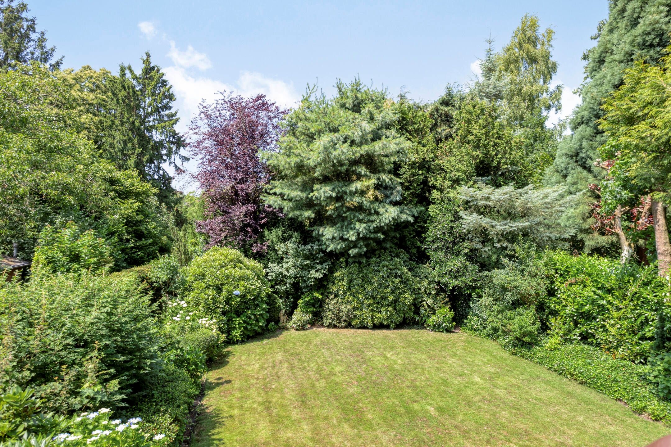 Foto 39 van Burgemeester van Dommelenlaan 15