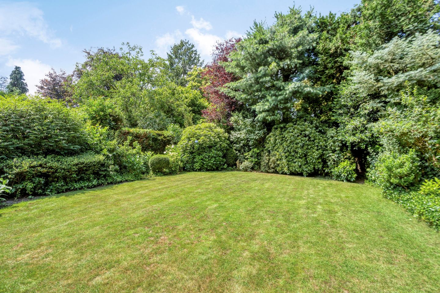 Foto 40 van Burgemeester van Dommelenlaan 15