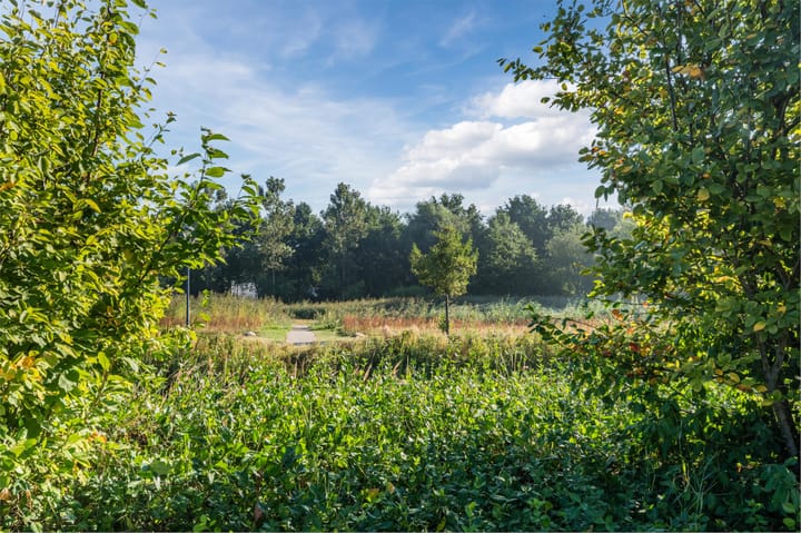 Foto 42 van Drenkkuil 9