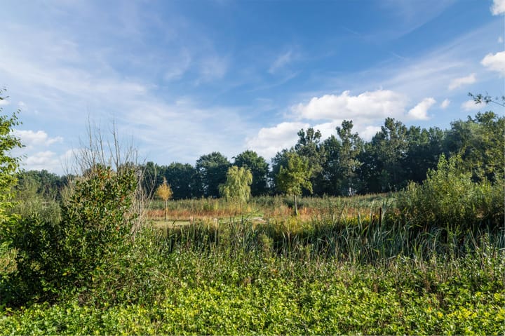 Foto 43 van Drenkkuil 9