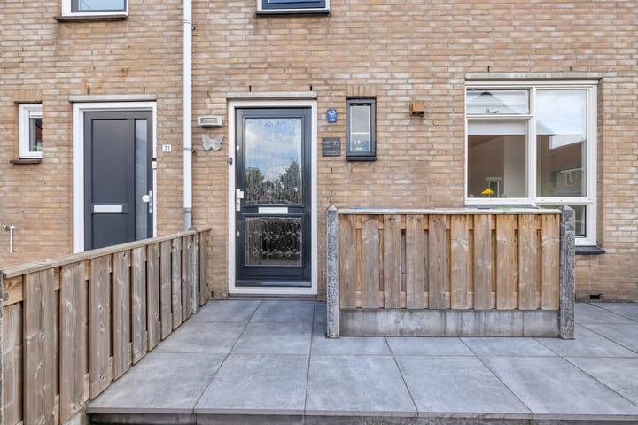 Foto 10 van Buntgras 73