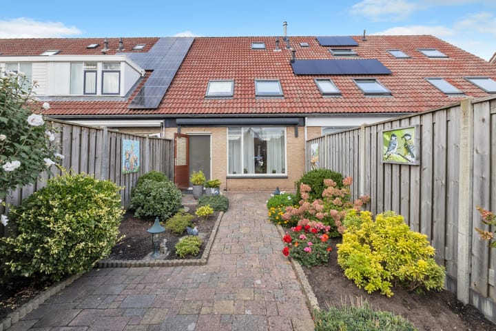 Foto 5 van Buntgras 73