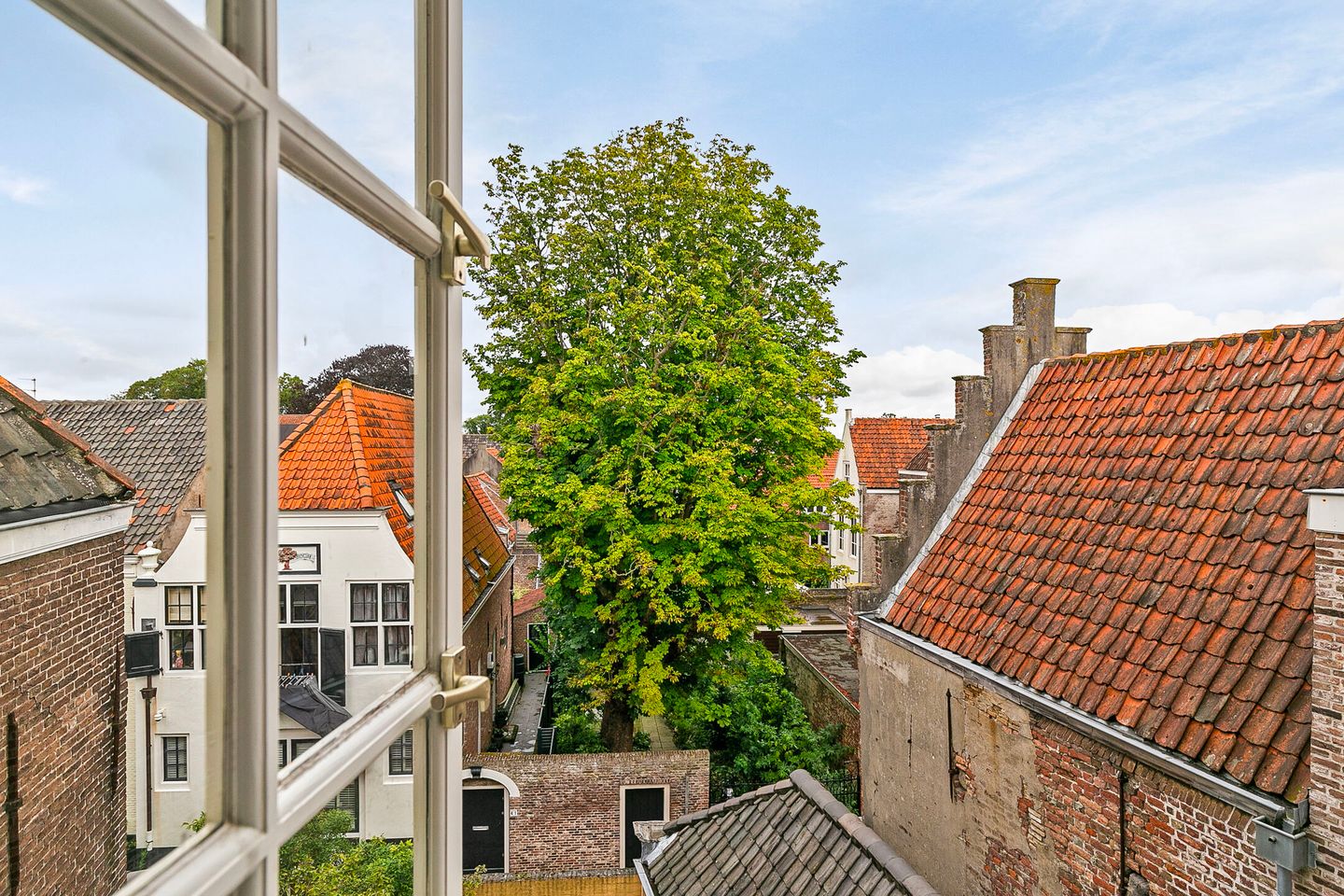 Foto 49 van Dam 75