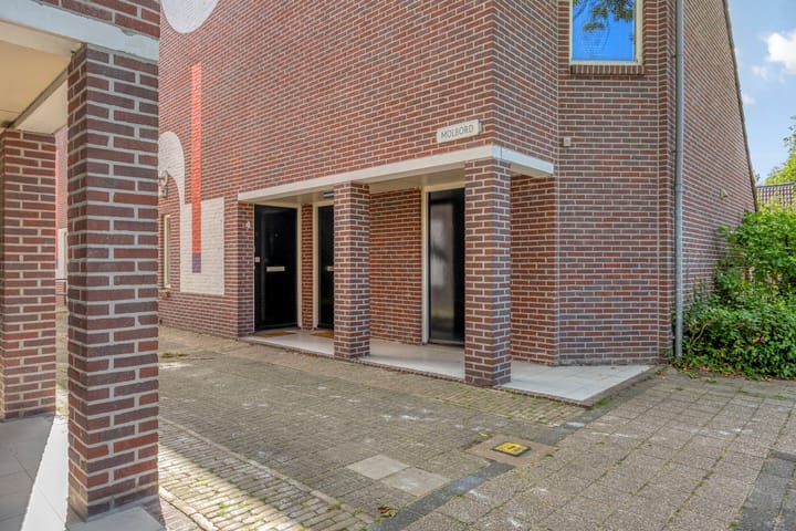 Foto 36 van Molbord 2