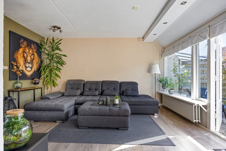 Foto 5 van Molbord 2