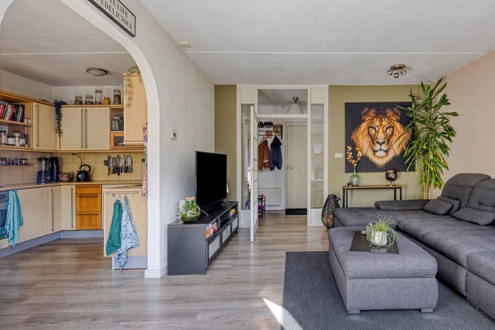 Foto 7 van Molbord 2