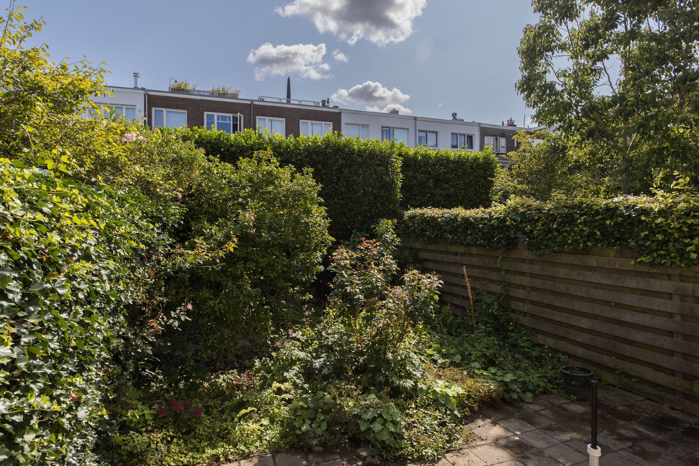 Photo 34 of Stadhouderslaan 102