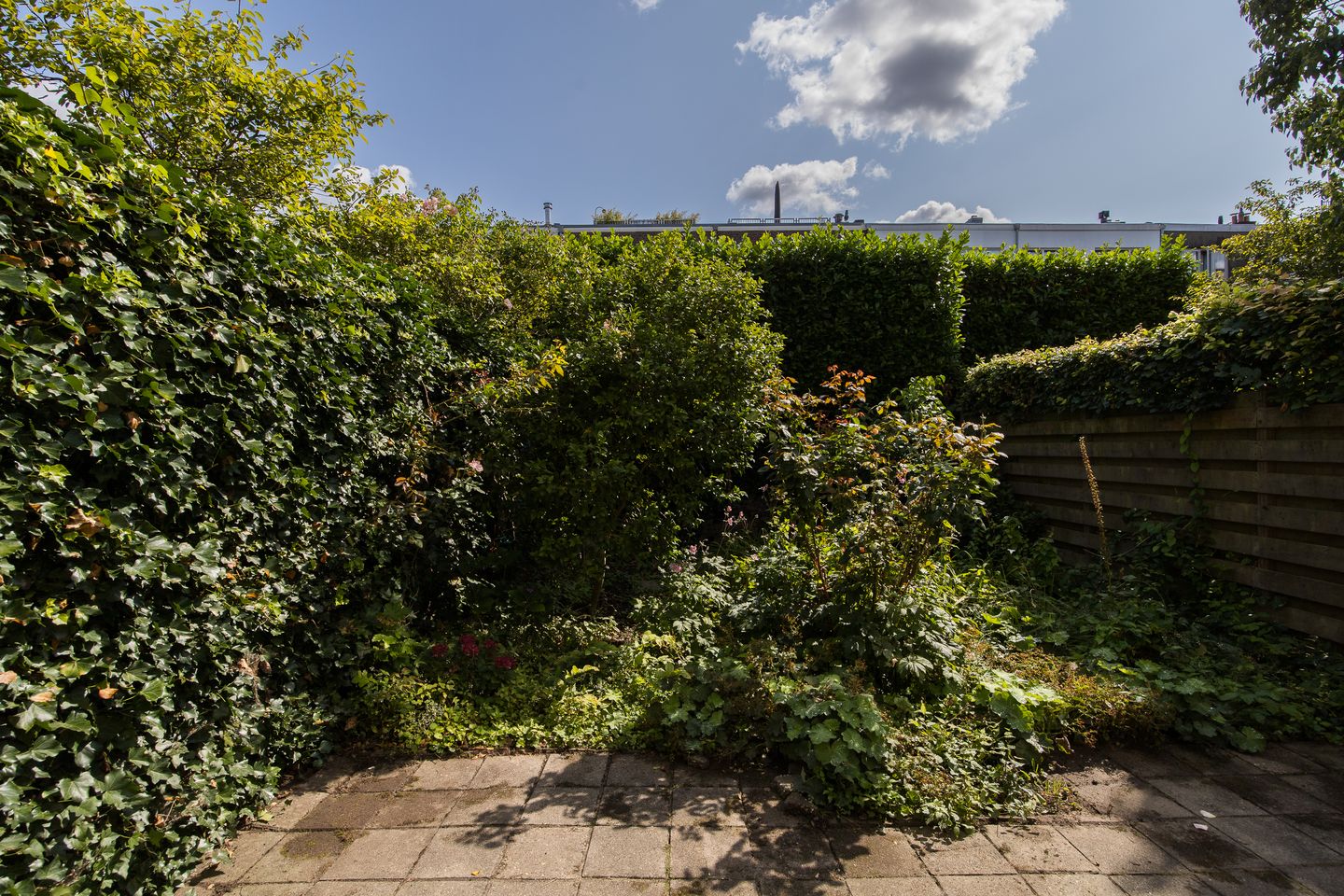 Photo 35 of Stadhouderslaan 102