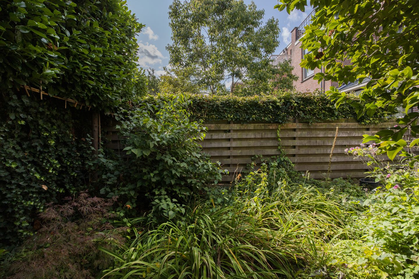 Photo 40 of Stadhouderslaan 102