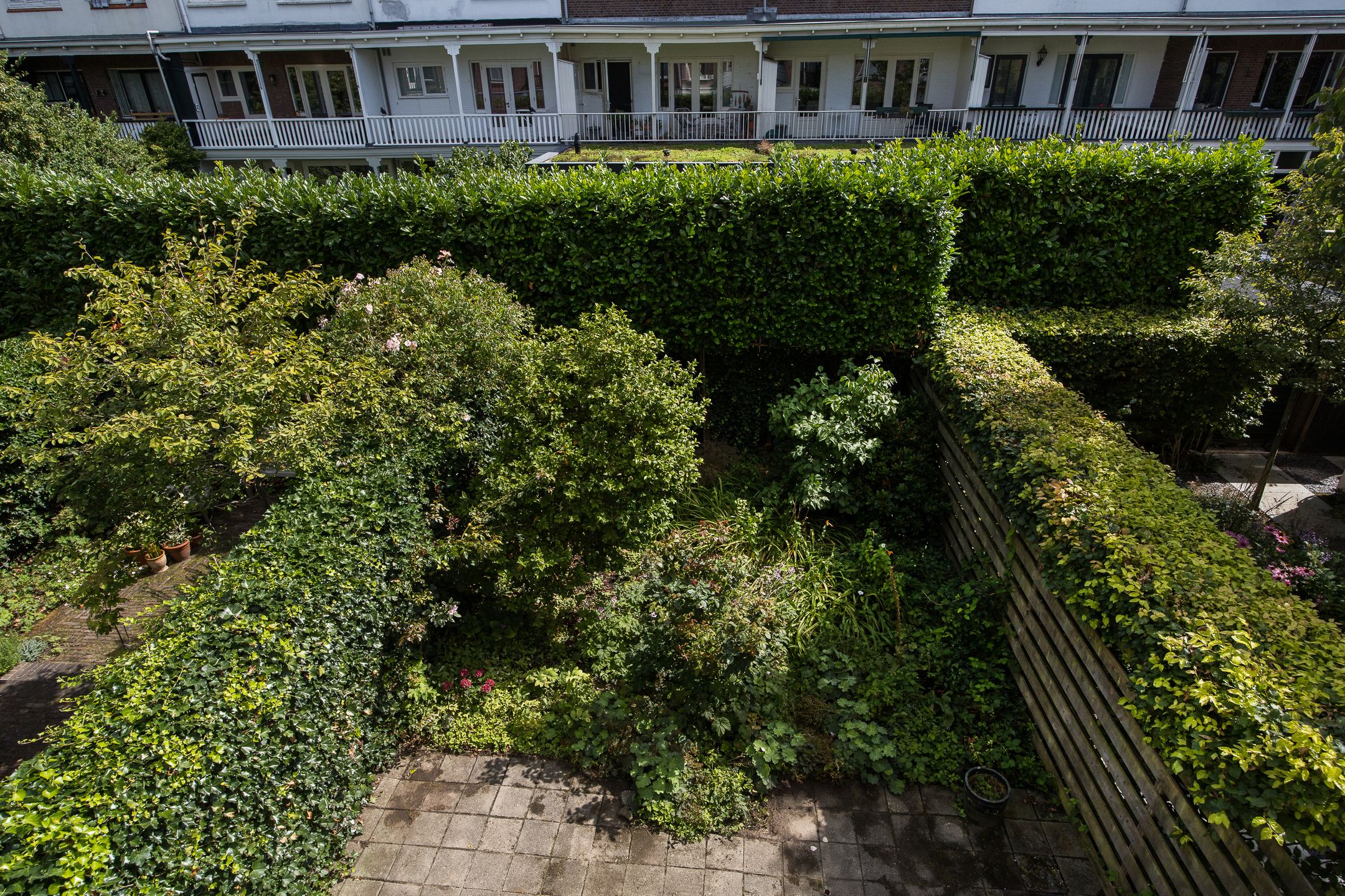 Photo 51 of Stadhouderslaan 102