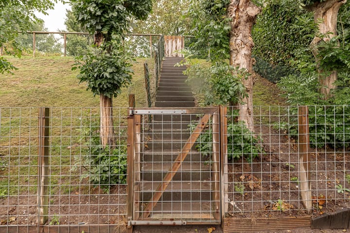 Photo 48 of Dorpsstraat 60-A