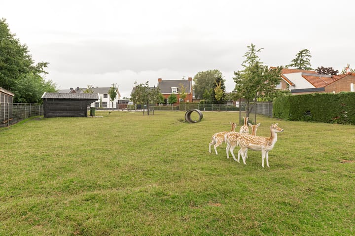 Photo 64 of Dorpsstraat 60-A