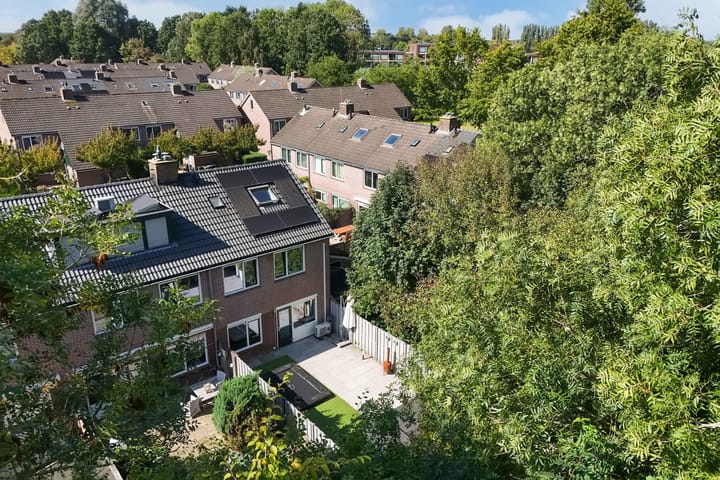 Foto 20 van Roerdomp 16