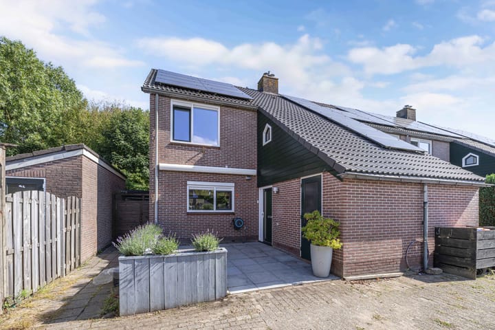 Foto 39 van Roerdomp 16