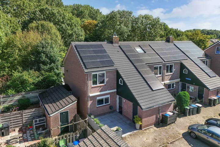 Foto 40 van Roerdomp 16