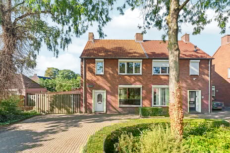 undefined main image