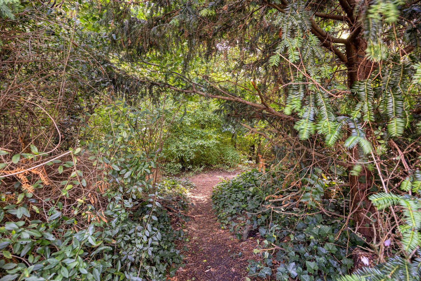 Foto 49 van Drontenhof 11