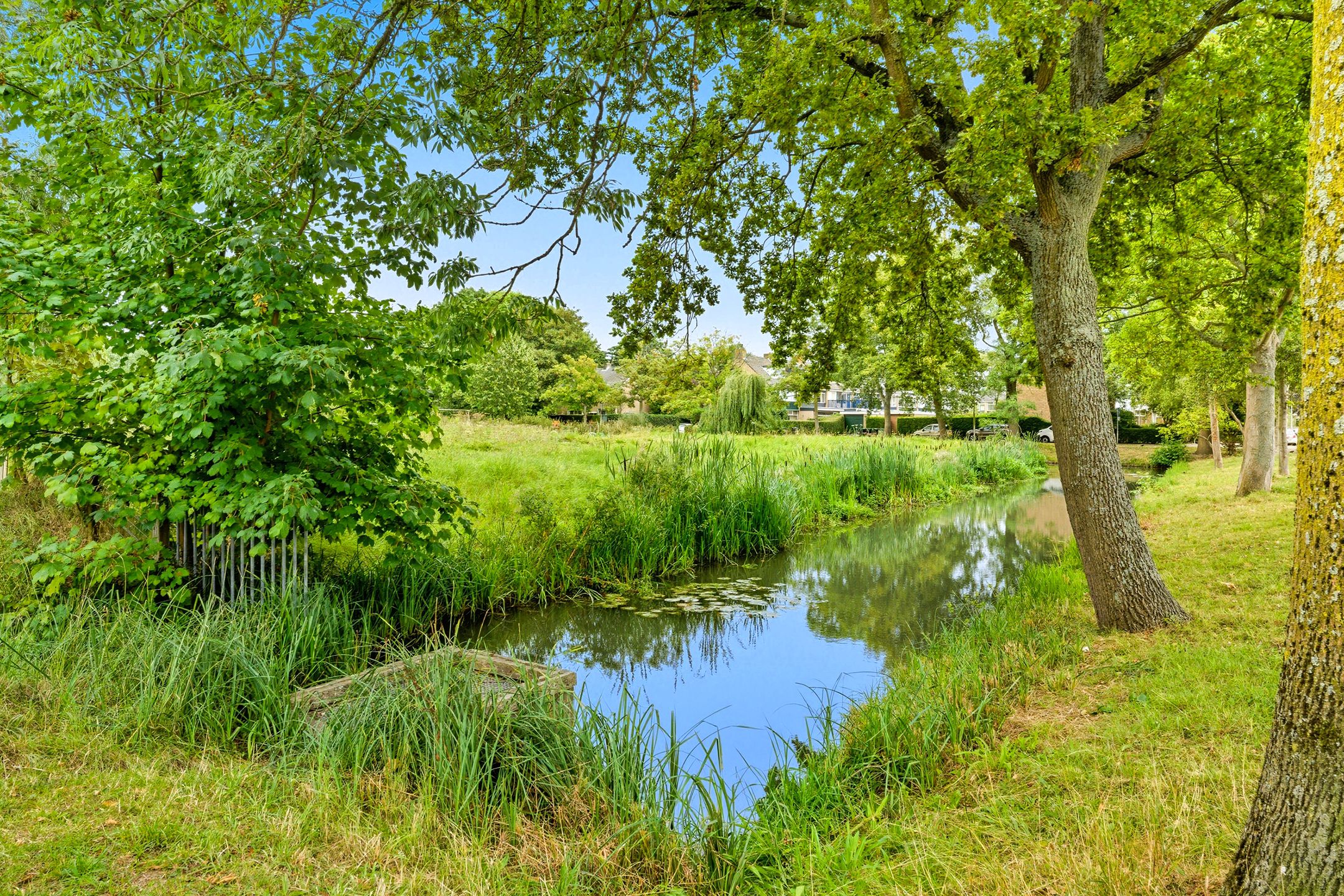 Foto 39 van Ravelstraat 35