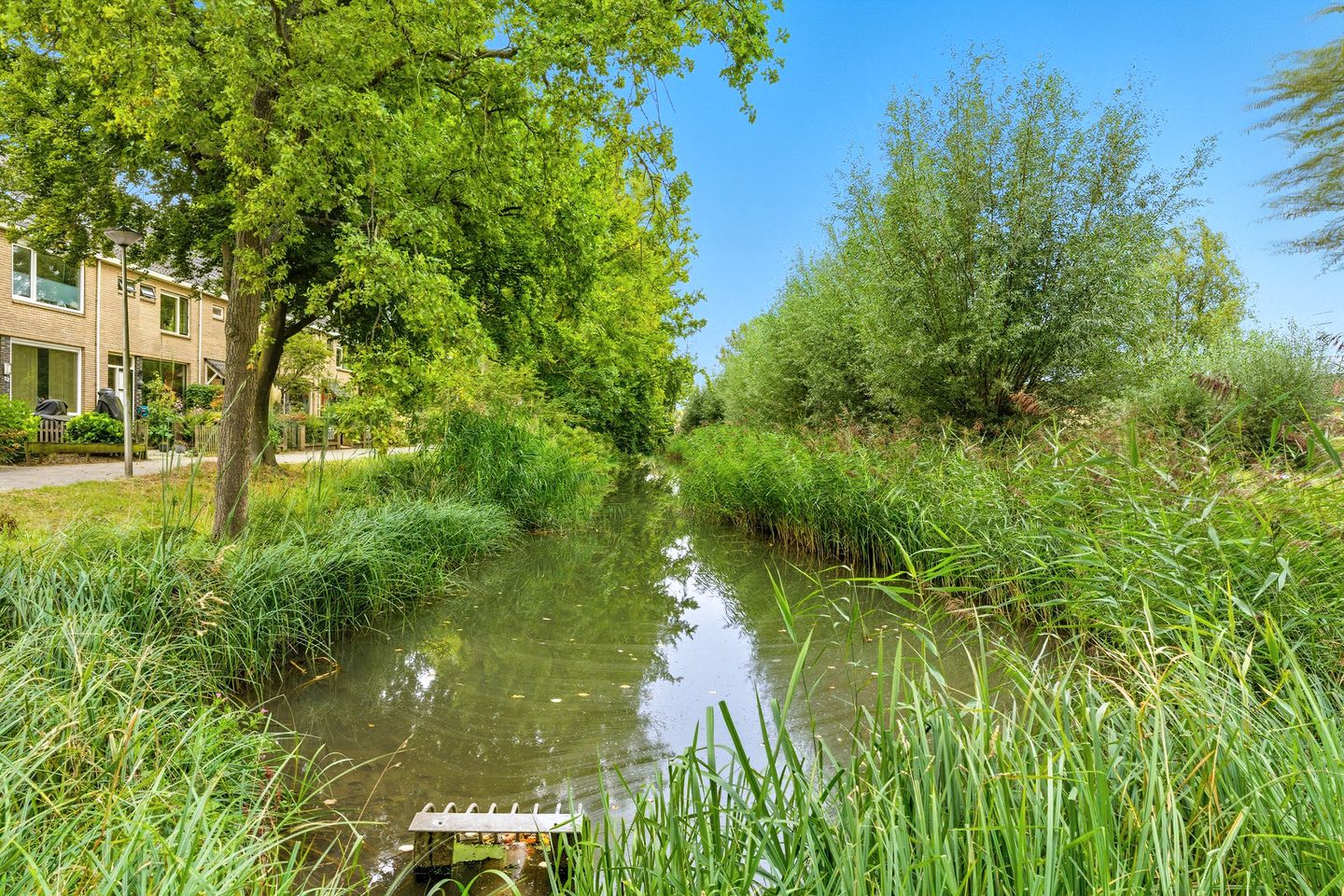 Foto 40 van Ravelstraat 35