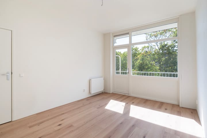 Foto 6 van Willem Buytewechstraat 166-B