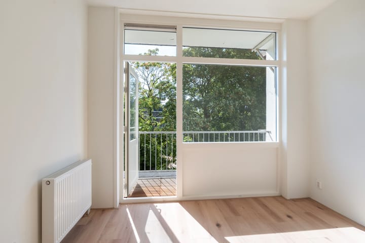 Foto 7 van Willem Buytewechstraat 166-B