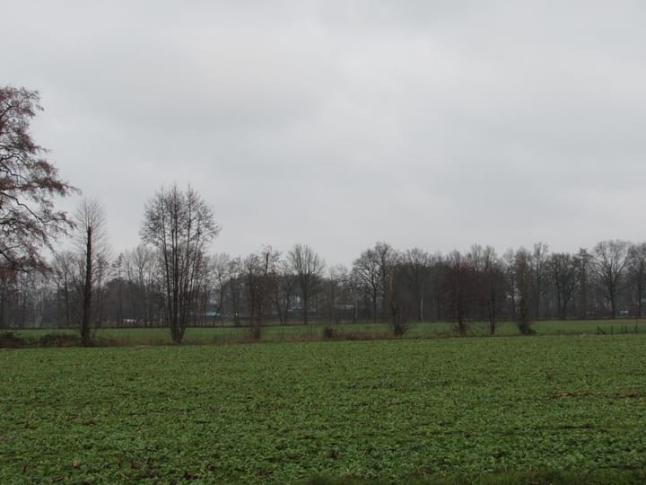 Photo 34 of Veluweweg 142-A