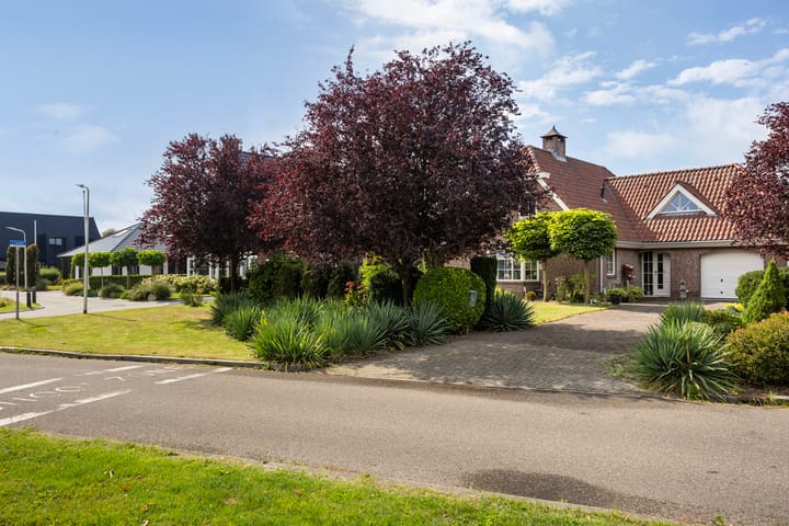 Foto 44 van 1e Zandwijkje 6