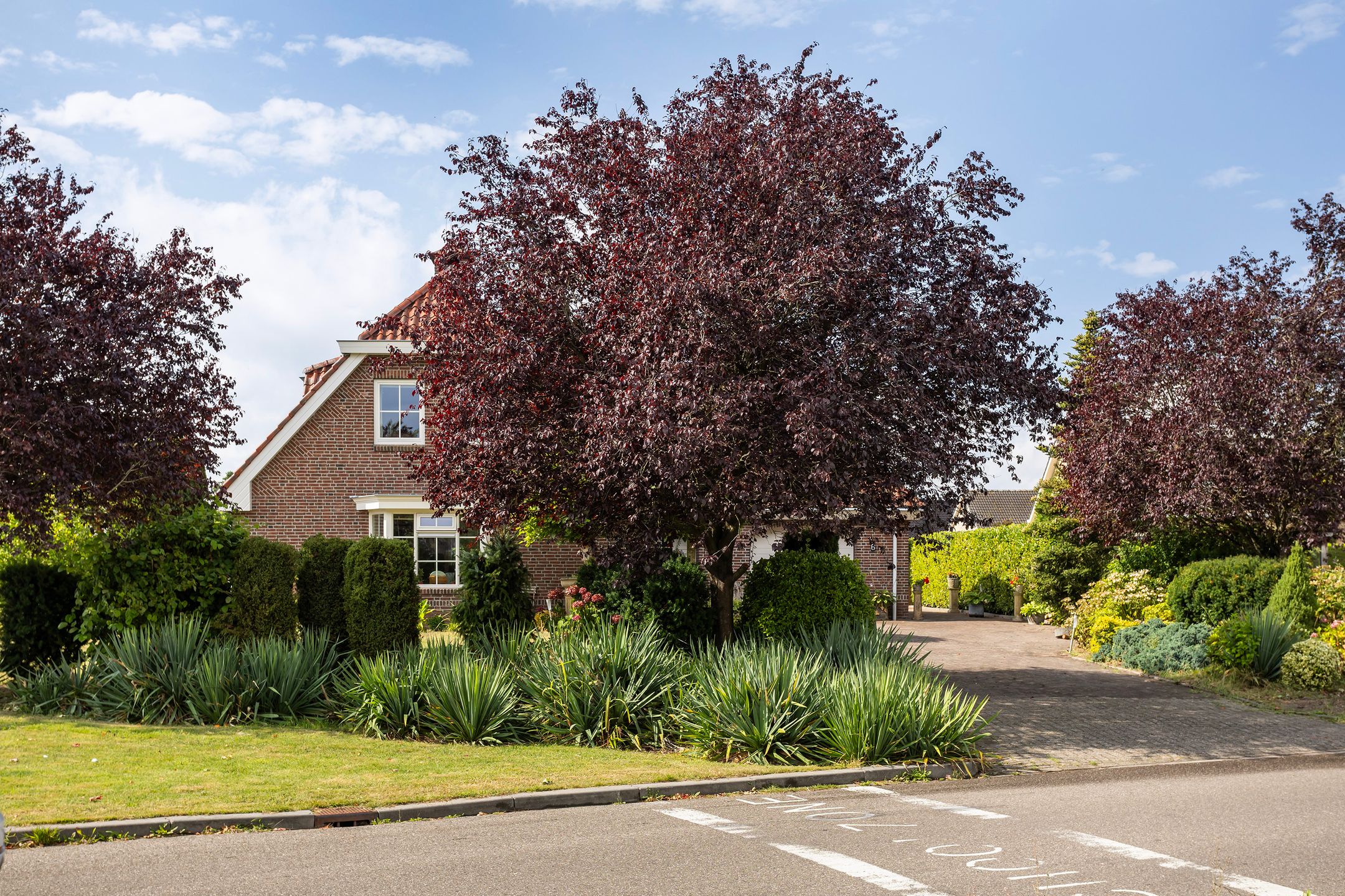 Foto 45 van 1e Zandwijkje 6