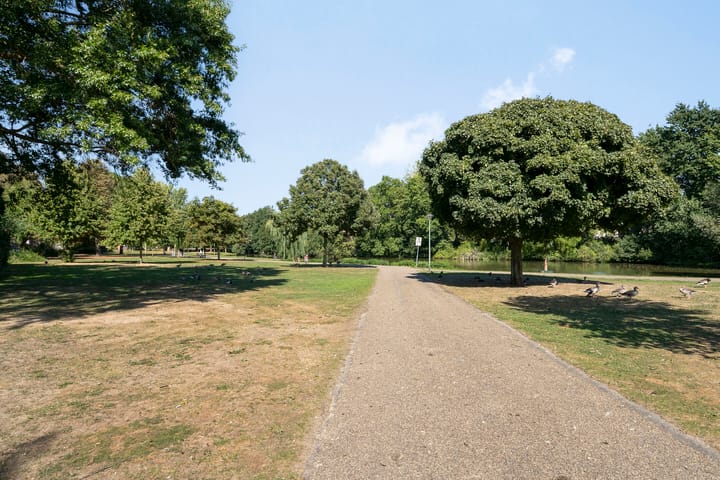 Foto 32 van Nassaustate 27