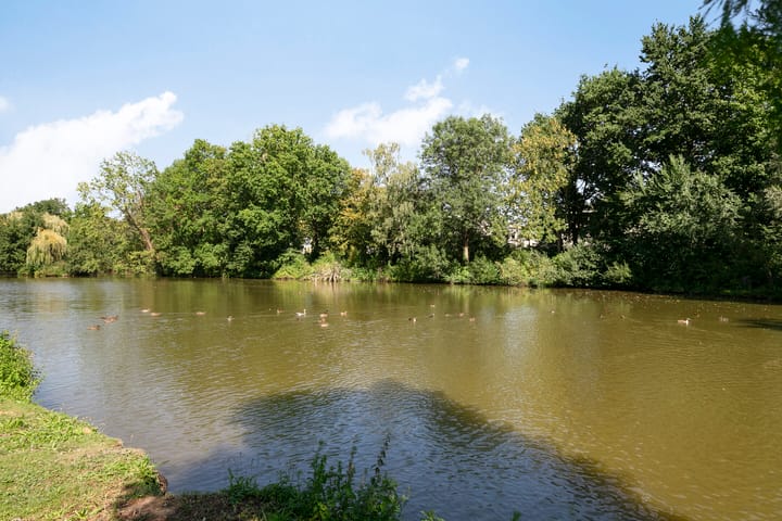 Foto 33 van Nassaustate 27