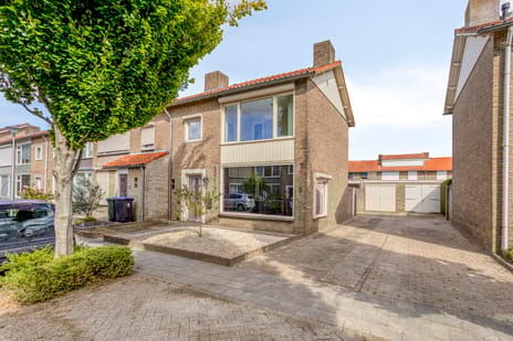 undefined main image