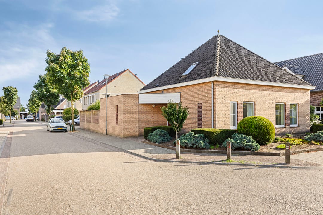 Foto 7 van De Patrijs 9