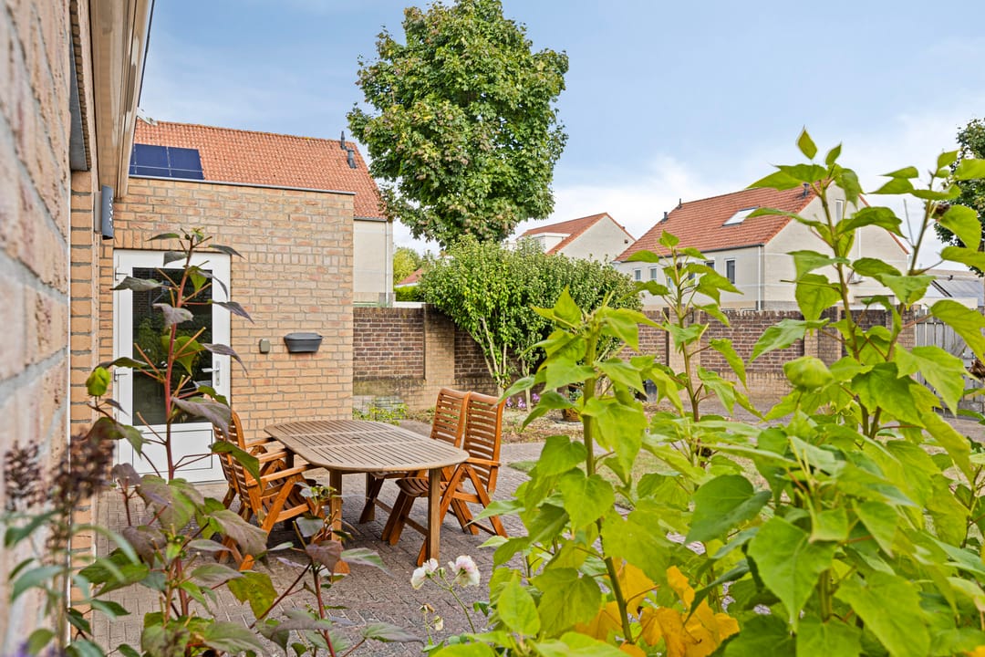 Foto 47 van De Patrijs 9