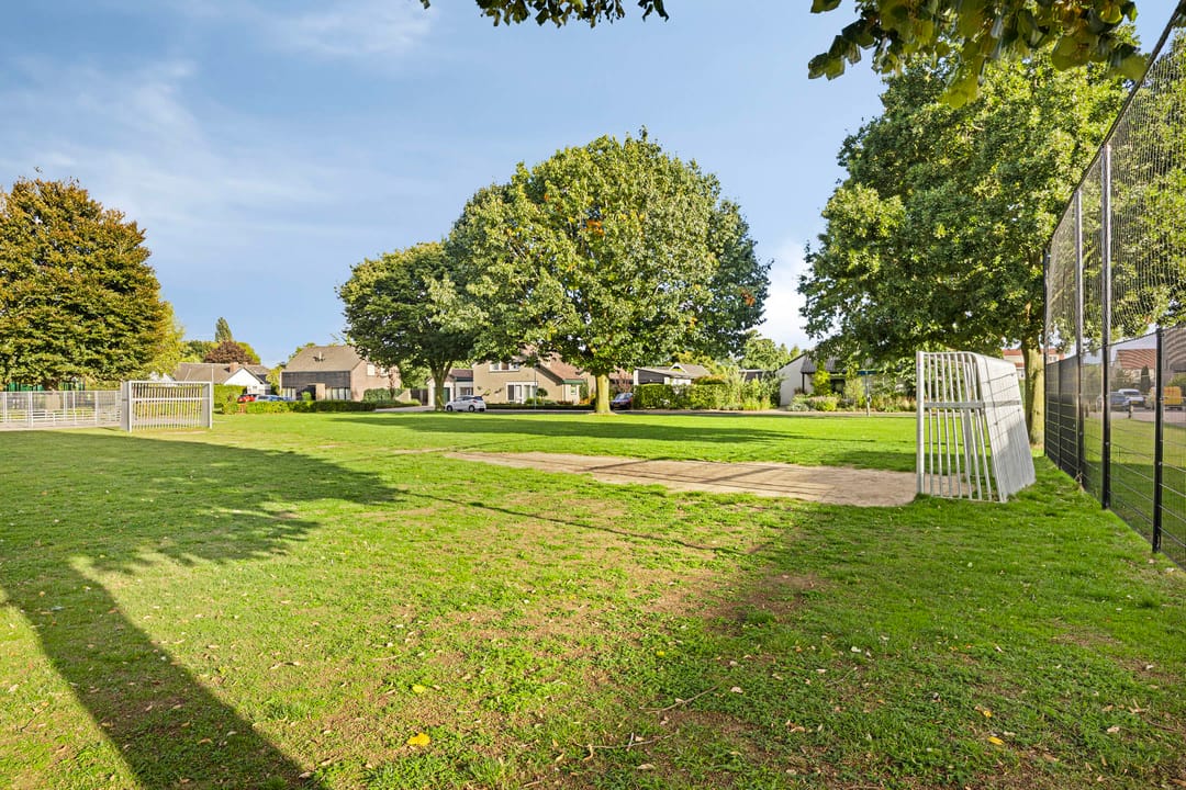 Foto 53 van De Patrijs 9