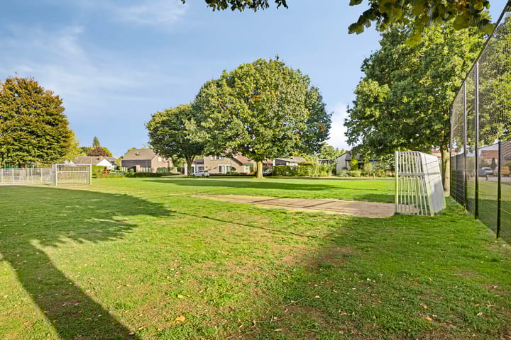 Foto 53 van De Patrijs 9