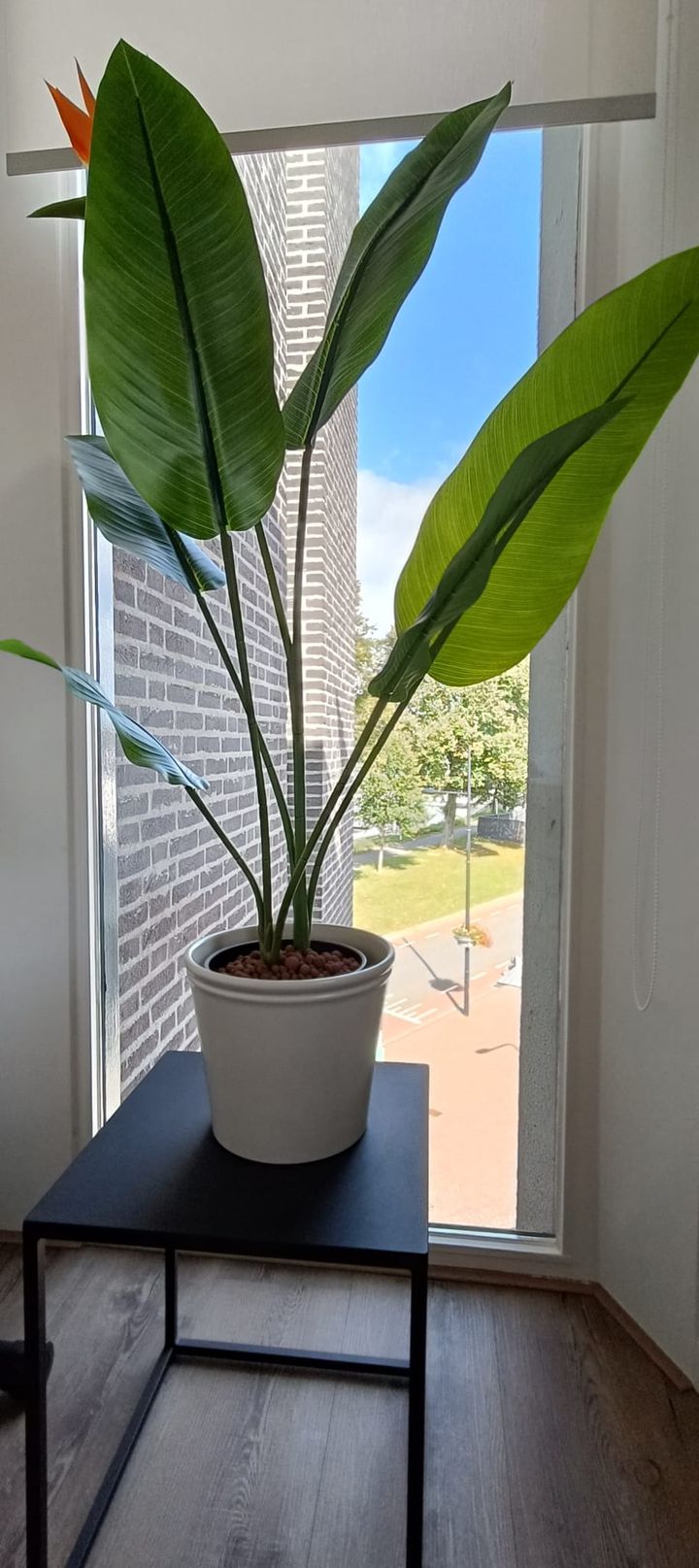 Foto 13 van Havenzicht 10