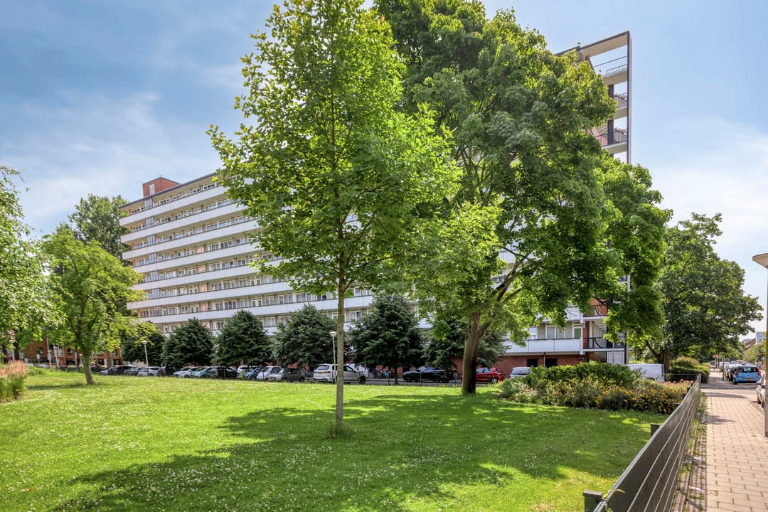 Foto 1 van Boutenburg 195